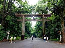 Shibuya Yoyogi park