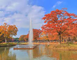 Shibuya Yoyogi park