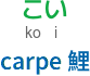 carpe 鯉